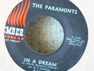 Doo Wop 2 Sider 45-Paramonts-In A Dream / Shedding...