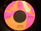 TYME & A HALF RARE 1969 CANADIAN GARAGE BAND 45 / NM