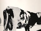 PINK FLOYD atom heart mother GOES ON THE ROAD  no TMOQ