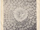 KING CRIMSON Groon / Cat Food RARE Norway 45 prog psych