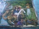 PETER BARDENS THE ANSWER RARE PSYCH PROG ORGAN