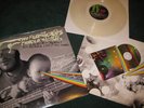 Flaming Lips LP Dark Side of the Moon Custom Clear OOP