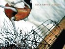 Circa Survive Juturna - Green Swirl OOP SEALED Vinyl