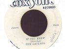 GAYLADS - IF YOU KNEW 7