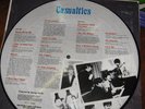 Beatles Casualties Picture Disc