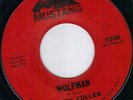 SURF / ROCKABILLY INSTRUMENTAL - RANDY FULLER  (HEAR)