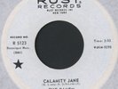 THE RAVEN CALAMITY JANE / NOW SHE'S GONE RUST 5123 NICE