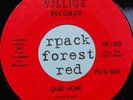 SEA SHELLS   -  Quiet Home    -   VILLAGE  7' - Detroit