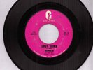The Sonics Shot Down Garage Punk Rockabilly Mod Hear