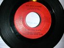 RARE LOUISIANA FUNK-DYNAMIC WALTER B/NEW BREED BAND-MP3