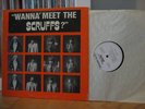 Scruffs -Wanna Meet the Scruffs? orig LP (powerpop)