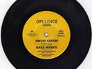 HAILE MASKEL - TAFARI SAFARI - OPULENCE( SOUND) 7
