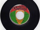 VICEROY - KNOWLEDGE OF NOW- VICTORIUS STEPPERS  7