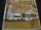 Lungfish Rainbows from Atoms LP Dischord Records EX