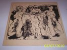 Flux Of Pink Indians - The F.cking C.nts LP anarcho