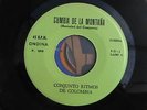 conjunto ritmico de colombia cumbia de la montaña liste