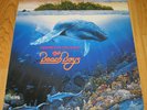 BEACH BOYS - Summer In Paradise LP  Very Rare Korea LP