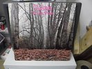 Twink, Think Pink, original Polydor LP 1970