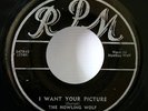 The Howling Wolf I Want Your Picture RPM 347 Great NM