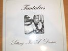 TANTALUS Sitting In A Dream Priv. Kraut Prog LP NM