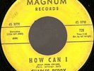 DEEP / NORTHERN SOUL- CHARLES PERRY - MAGNUM - LISTEN