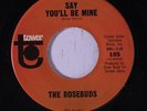 ROSEBUDS: Say You'll Be Mine 45 rare Soul