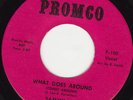 NORTHERN SOUL 45 RPM - SAMMY LEE on PROMCO RECORDS