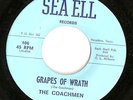 THE COACHMEN GRAPES OF WRATH SEA ELL TX PSYCH 45 hear