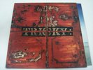 Tricky-Maxinquaye(LP)Massive Attack/Portishead/AFX/OG