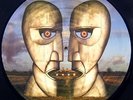 Pink Floyd -The Division Bell- RARE Picture LP Vinyl NM