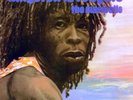 RARE REGGAE LP - THE MORWELLS 