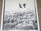 BOYS LIFE / SECULAR THEME split emo saetia current