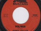 Surf Garage Rockabilly Instrumental 45-Randy Fuller 