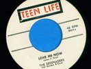 SERENADERS -- RARE 1958 Detroit doo wop 45 on TEEN LIFE