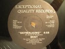 Mint - The Mint / Skywalking 12 MODERN SOUL Rokk  HEAR