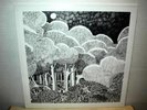 SHIDE & ACORN  Under The Tree  LP  reissue  folk psych