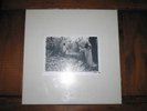sunn o)) - WHITE BOX OOP RARE 4xlp doom electric wizard