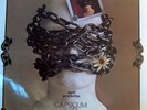 CAPSICUM RED - Appunti  Per Un'idea Fissa LP Orig Italy
