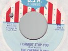 CHERRY SLUSH I Cannot Stop You USA psych Dick Wagner MI
