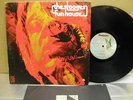 THE STOOGES 