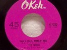 45 R&B TED TAYLOR Ramblin' Rose 1965 Okeh 4-7222