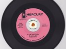 Snotty Punk Garage 45 THE SKUNKS A Girl Like You PROMO