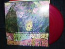 Strange Flowers - Ortoflorovivaistica