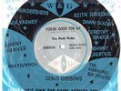 YOU'RE GOOD FOR ME = PINK FINKS 1966  OZ GARAGE R&B W&G