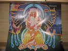 5 Autographs--Hawkwind--