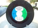Dave Myers and the Disciples Come on Luv 45 Surf Garage