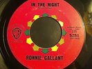 Ronnie Gallant In the Night  northern soul