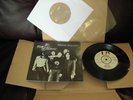 FLAMIN GROOVIES 7