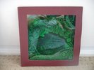 Al Simones - Enchanted Forest - Psych Fuzz Orig Great