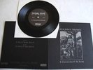 PARAGON IMPURE - In Commemoration ... 7` Darkthrone,Von